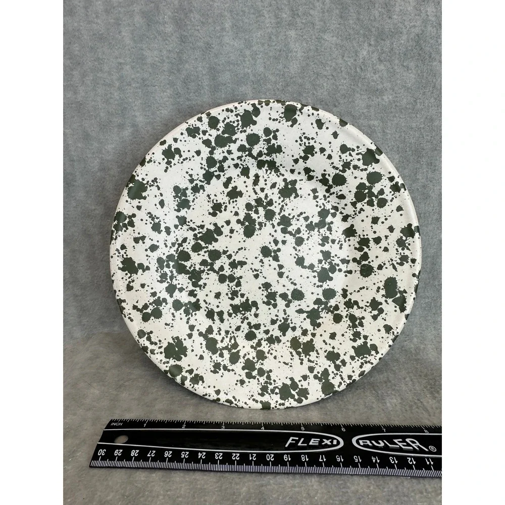 Bee & Willow‎ Melamine Splatter Plate Set White Green Dinnerware 10.5